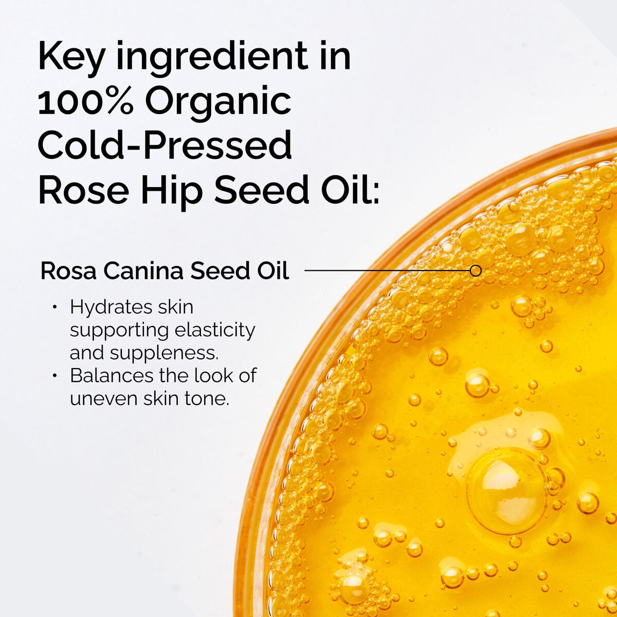 100-organic-cold-pressed-rose-hip-seed-oil-f3 FY25-D41247-ORD-Web-PDP-100-Rose-Hip-Oil-1x1-EN-2.jpg