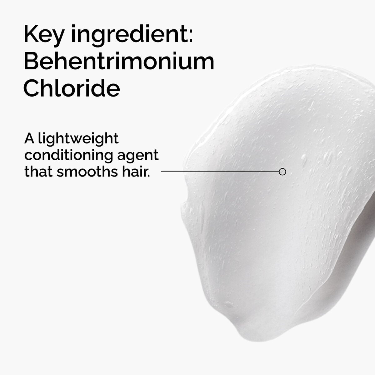 behentrimonium-chloride-2-conditioner-o8 FY25-D41247-ORD-Web-PDP-BTC-1x1-EN-2a.jpg
