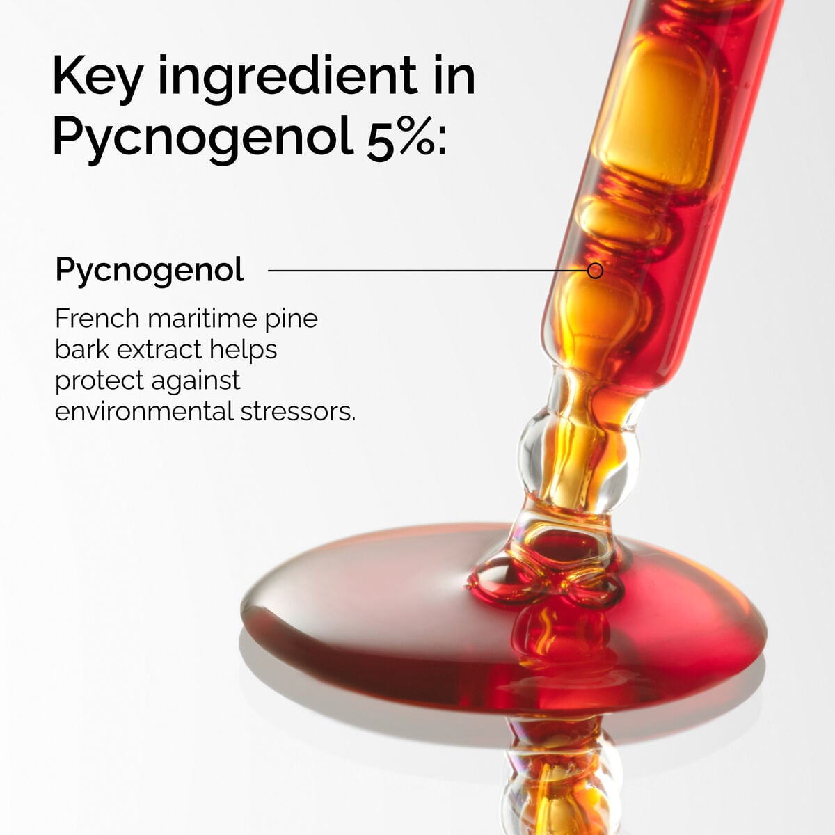 pycnogenol-5-c4 FY25-D41247-ORD-Web-PDP-Pyc-5pct-1x1-EN-2a.jpg