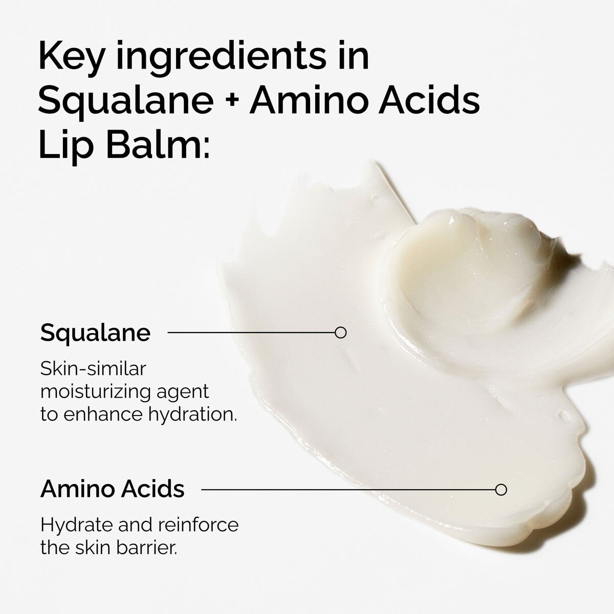 squalane-amino-acids-lip-balm-k5 FY25-D41247-ORD-Web-PDP-Sql-Amino-Lip-1x1-EN-2a.jpg