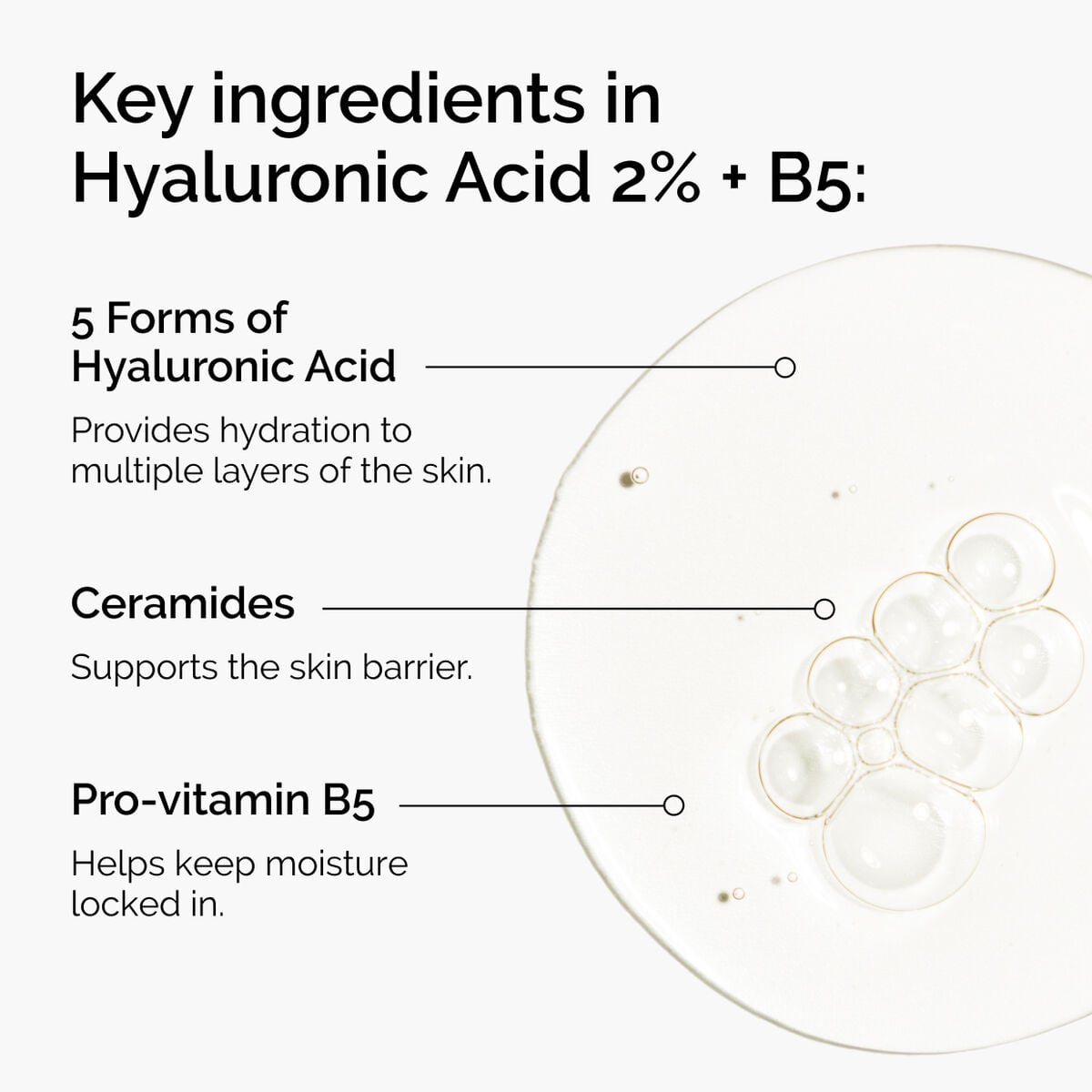 hyaluronic-acid-2-b5-with-ceramides-y9 ord-hyaluronic-acid-2pct-b5-hydrating-serum-ingredients-graphic.jpg