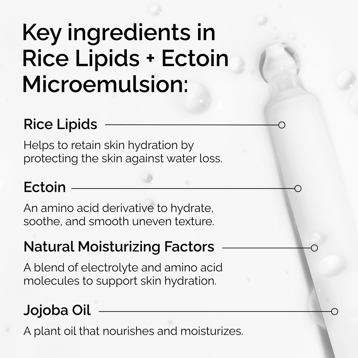 rice-lipids-ectoin-microemulsion-n9 ord-rice-lipids-ectoin-microemulsion-key-ingredients.png