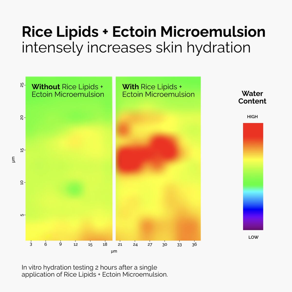 rice-lipids-ectoin-microemulsion-n9 ord-rice-lipids-ectoin-microemulsion-thermal-before-after.jpg